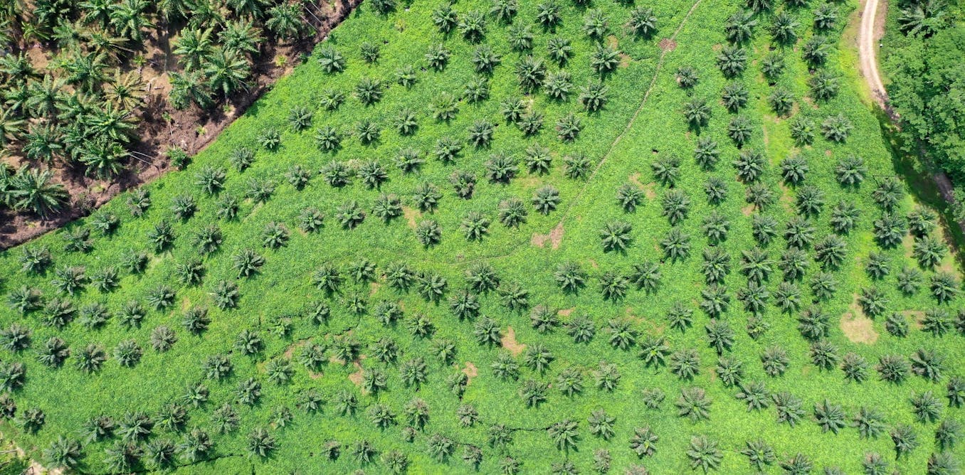 Banjir Sumatra: Oligarki dan Pemburu Rente Rusak Bumi Allah