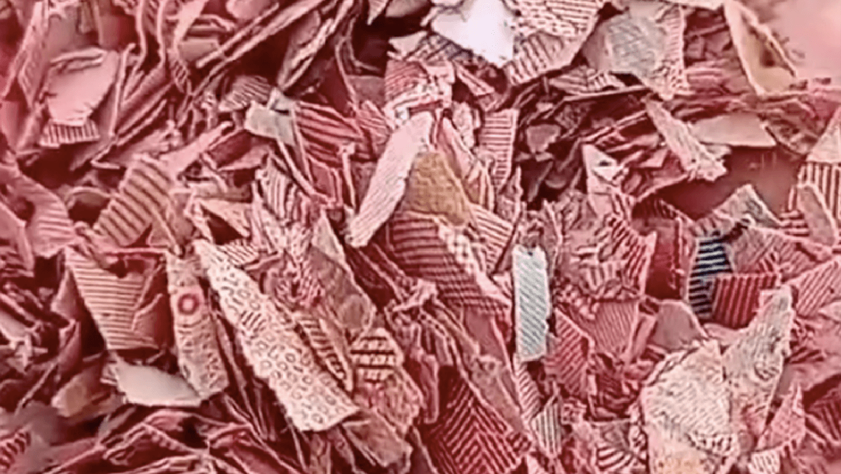 Penemuan Cacahan Uang Asli BI di Bekasi Ungkap Kelalaian