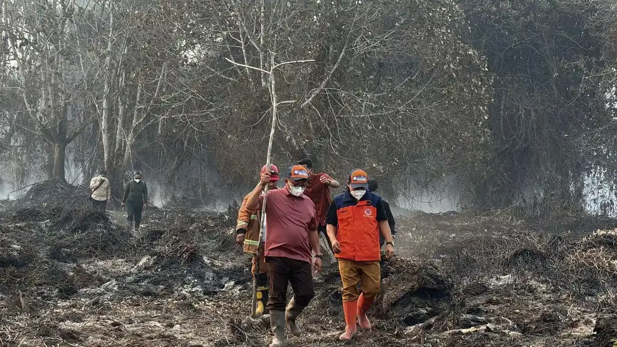 Wakil Wali Kota Samarinda Minta Maaf, Karhutla di Lahan Gambut dan Batu Bara Belum Padam