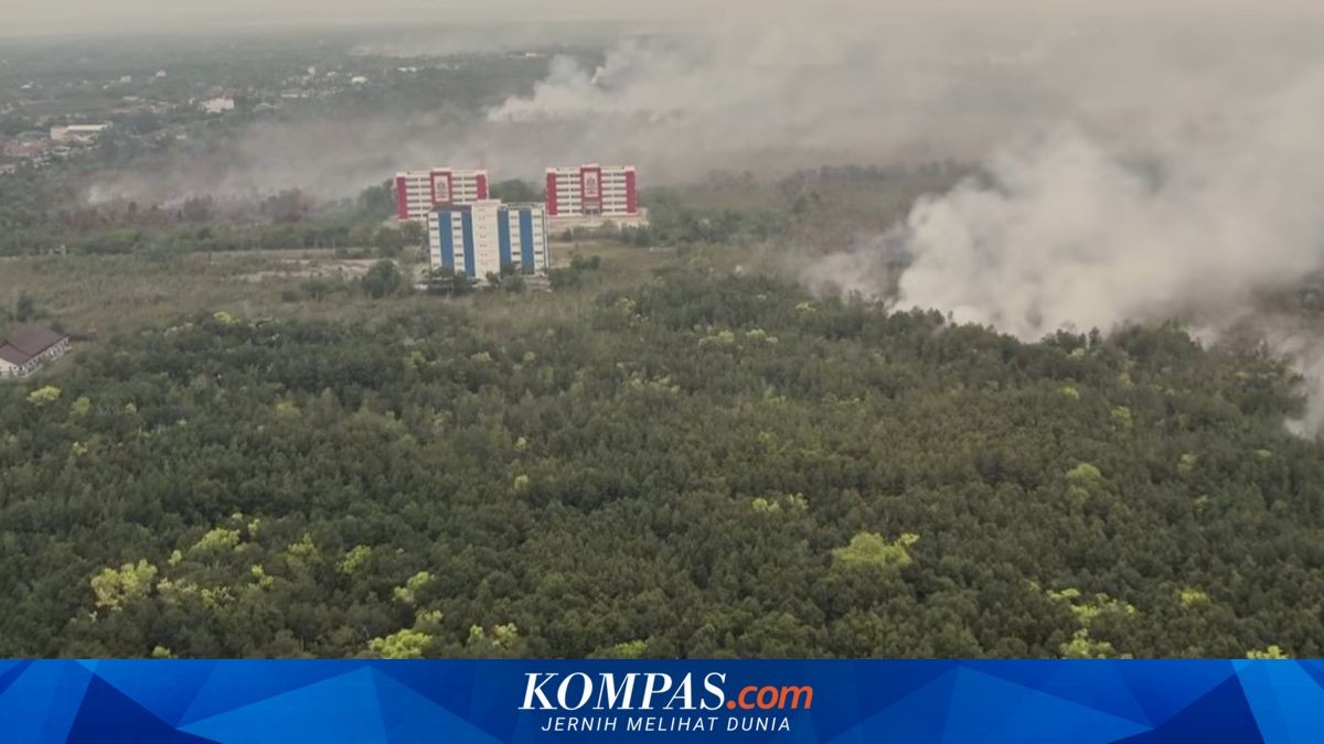 Karhutla Palangka Raya: UPR Alihkan Kuliah ke Daring, Kapan Kembali ke Kampus?