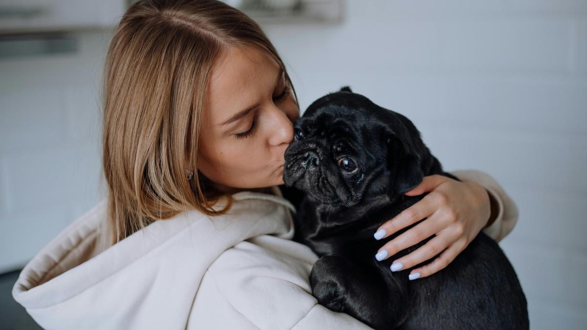 Ciri Kepribadian Orang yang Nyaman Berinteraksi dengan Anjing
